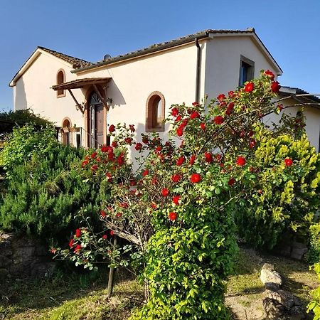 Borgo De' Muracci Ribolla Buitenkant foto