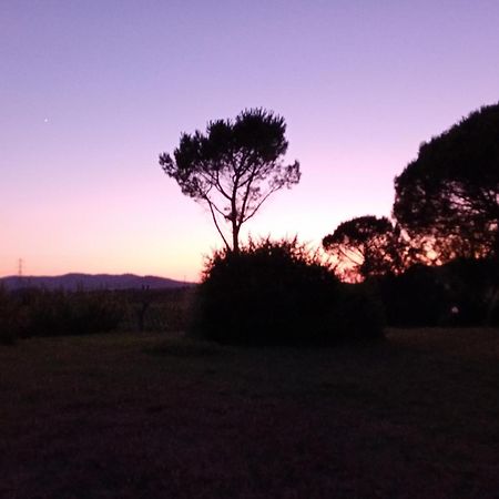Borgo De' Muracci Ribolla Buitenkant foto