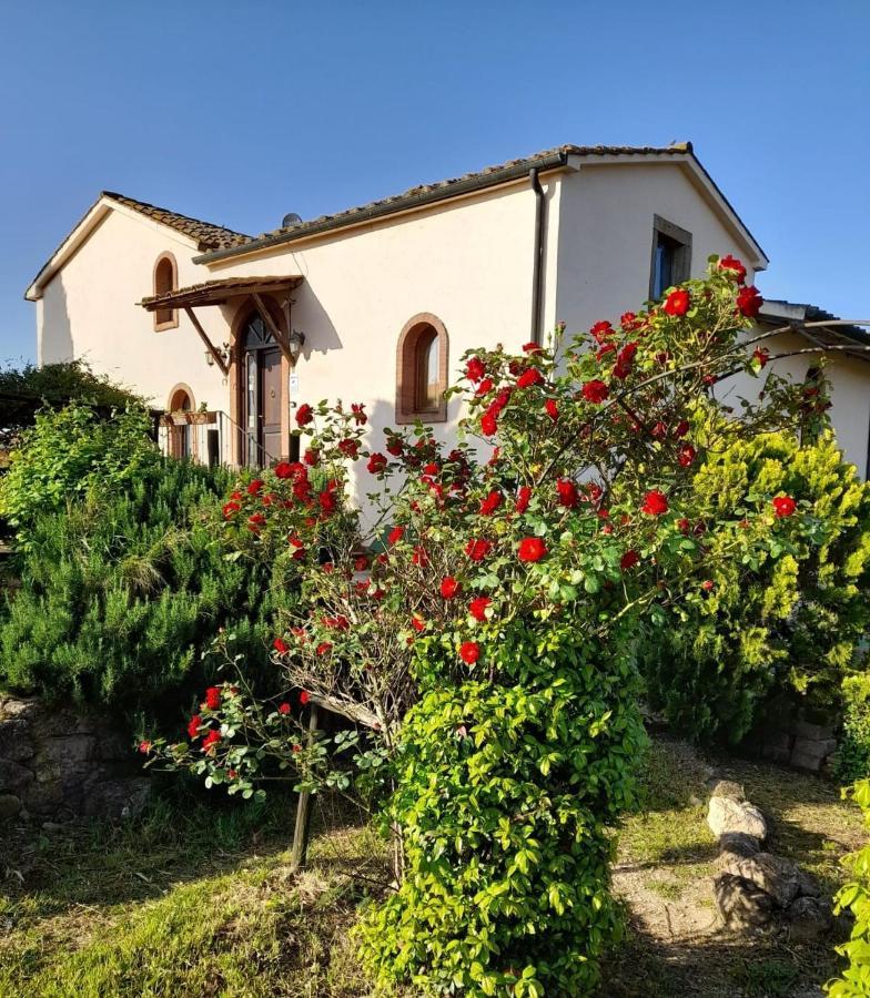Borgo De' Muracci Ribolla Buitenkant foto