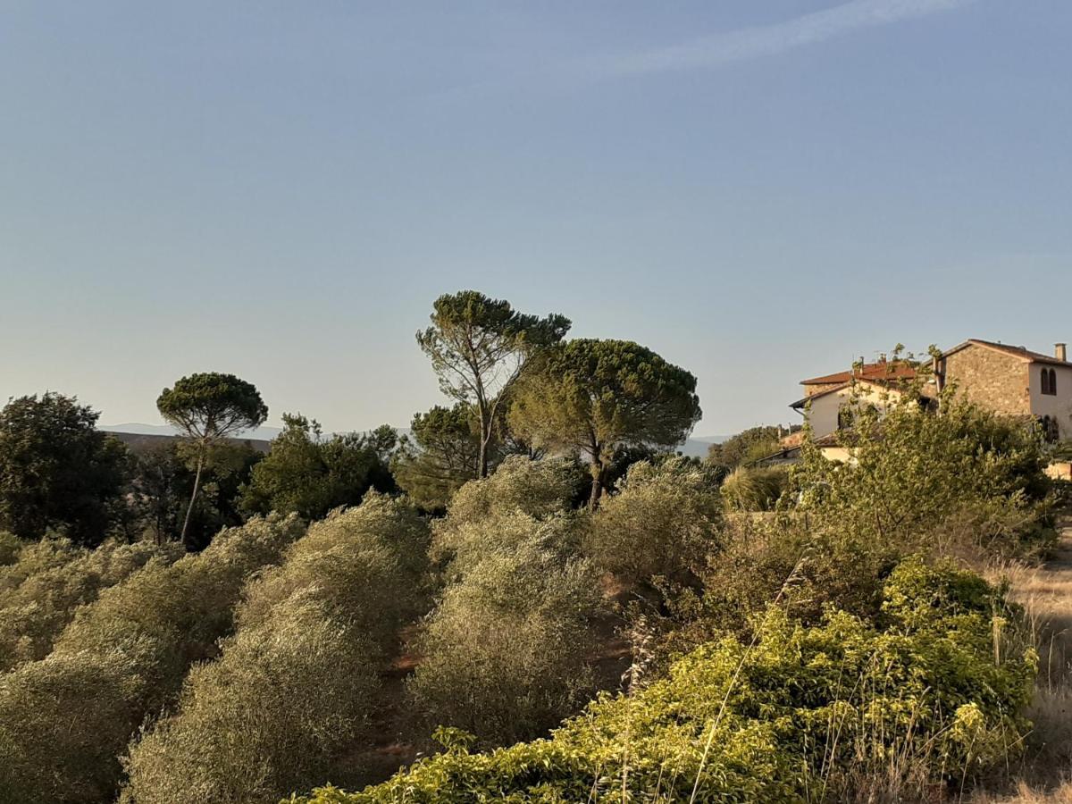 Borgo De' Muracci Ribolla Buitenkant foto