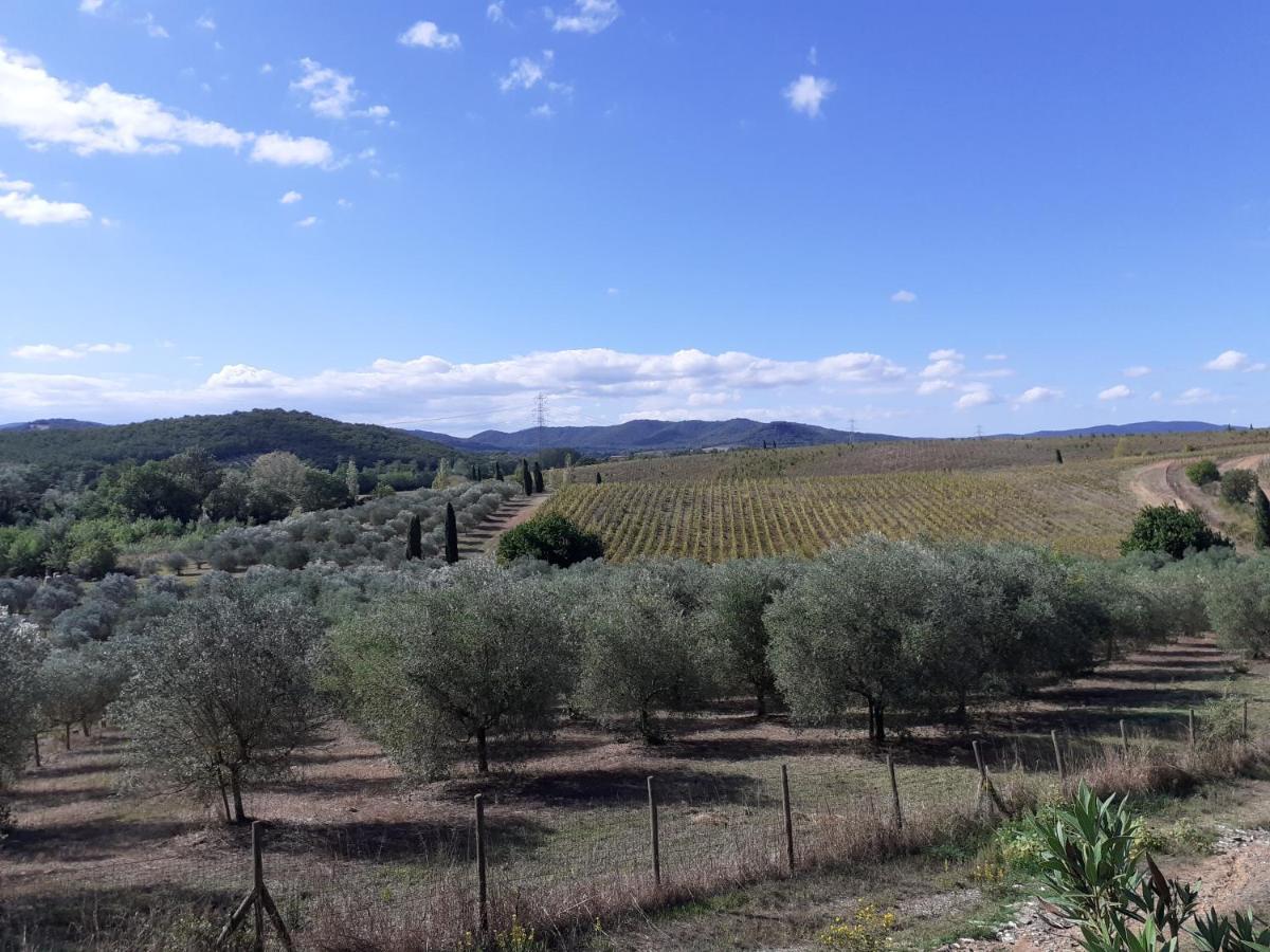 Borgo De' Muracci Ribolla Buitenkant foto