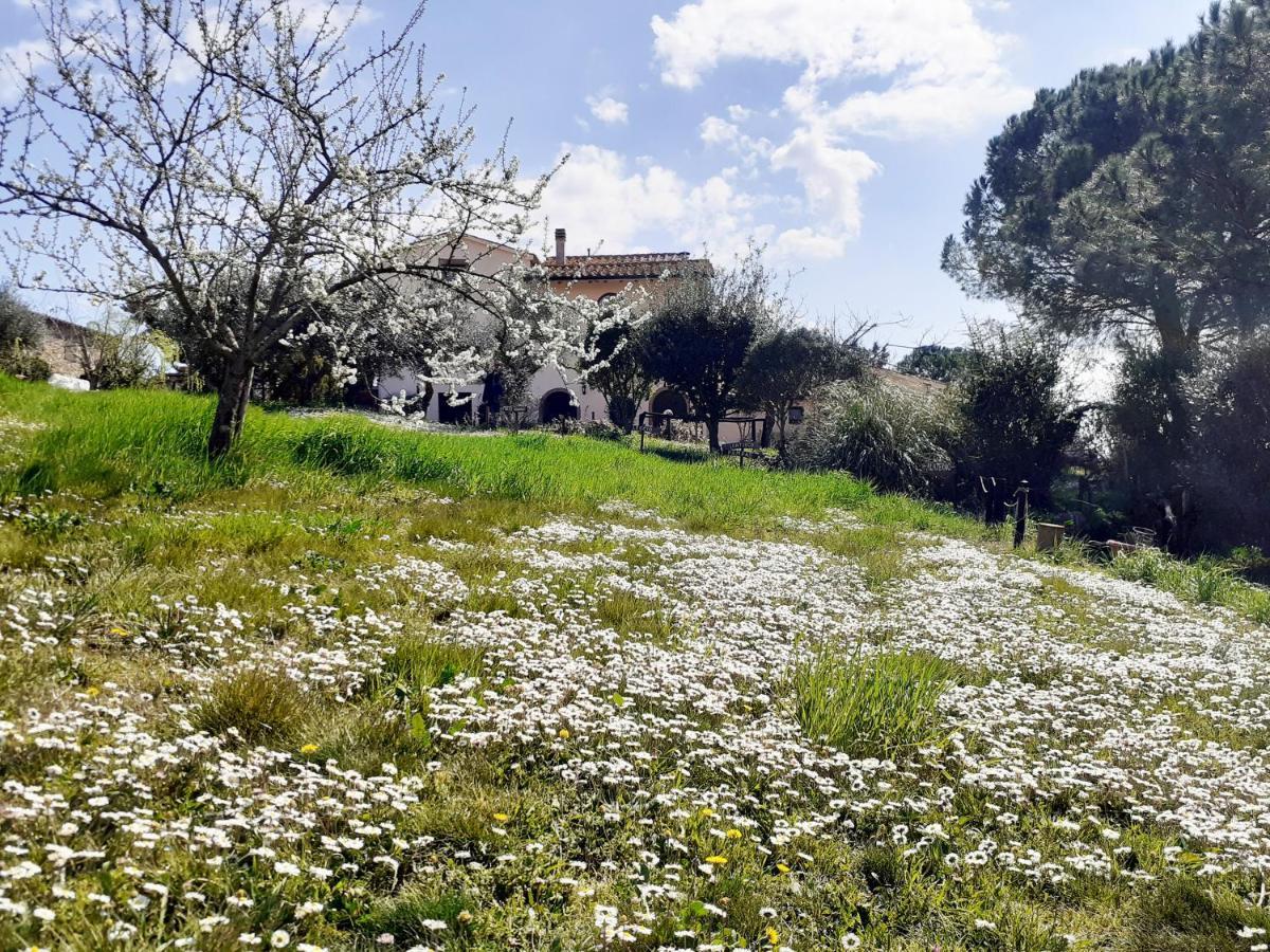 Borgo De' Muracci Ribolla Buitenkant foto