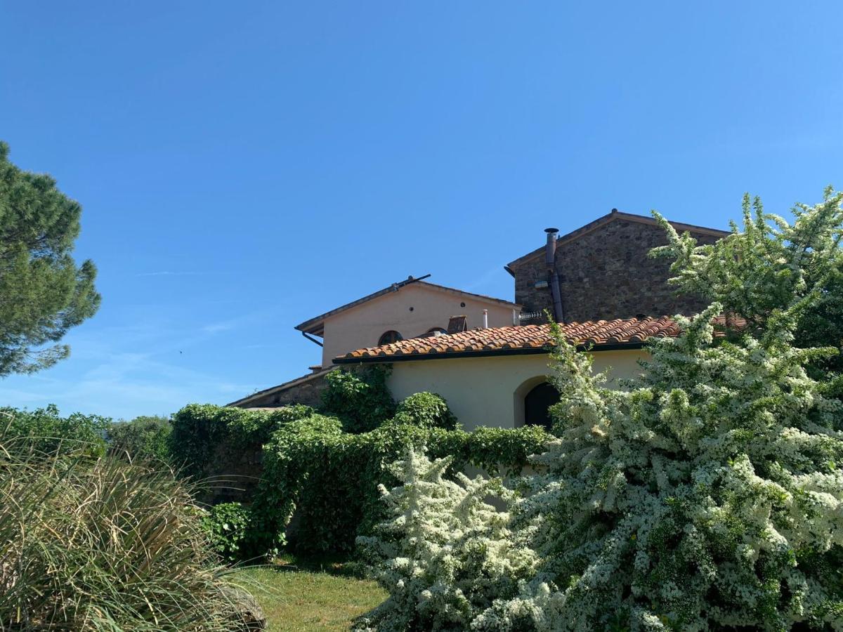 Borgo De' Muracci Ribolla Buitenkant foto