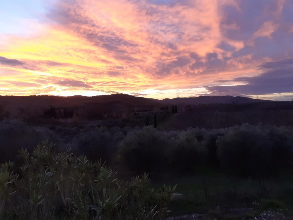 Borgo De' Muracci Ribolla Buitenkant foto