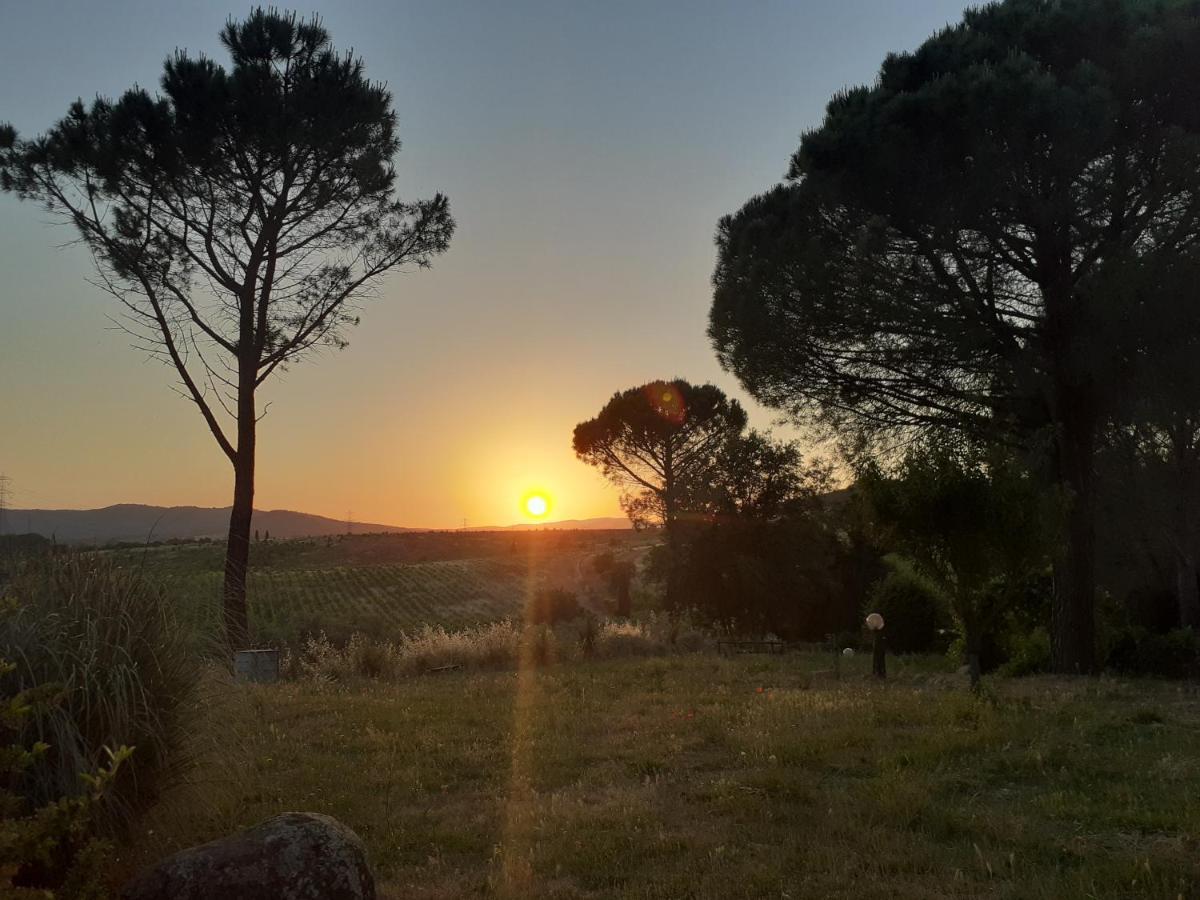 Borgo De' Muracci Ribolla Buitenkant foto
