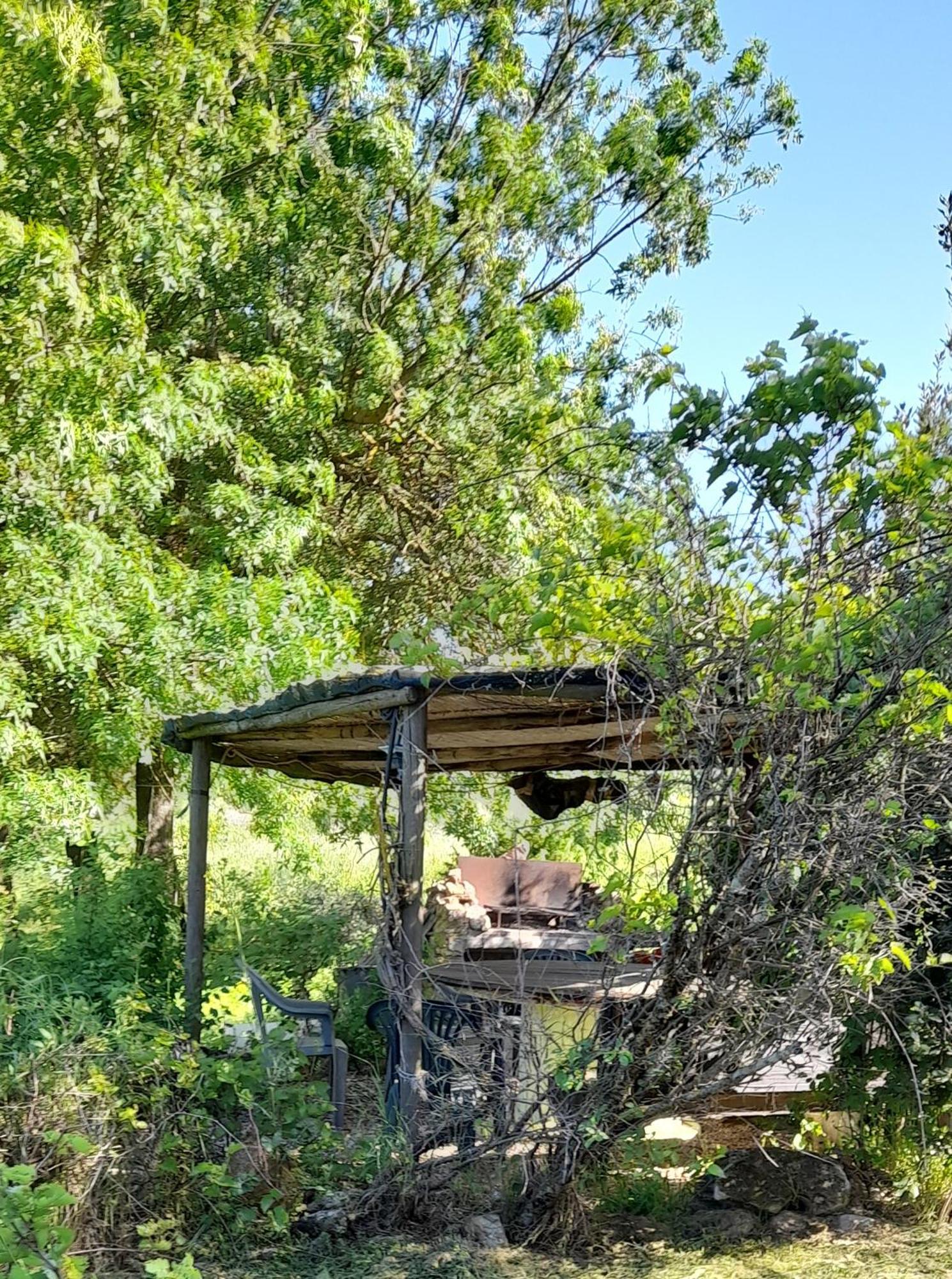 Borgo De' Muracci Ribolla Buitenkant foto