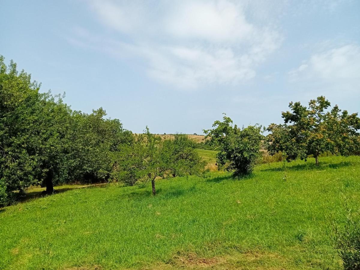 Borgo De' Muracci Ribolla Buitenkant foto