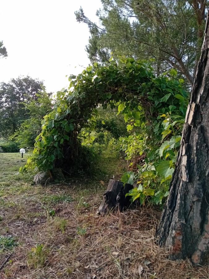 Borgo De' Muracci Ribolla Buitenkant foto