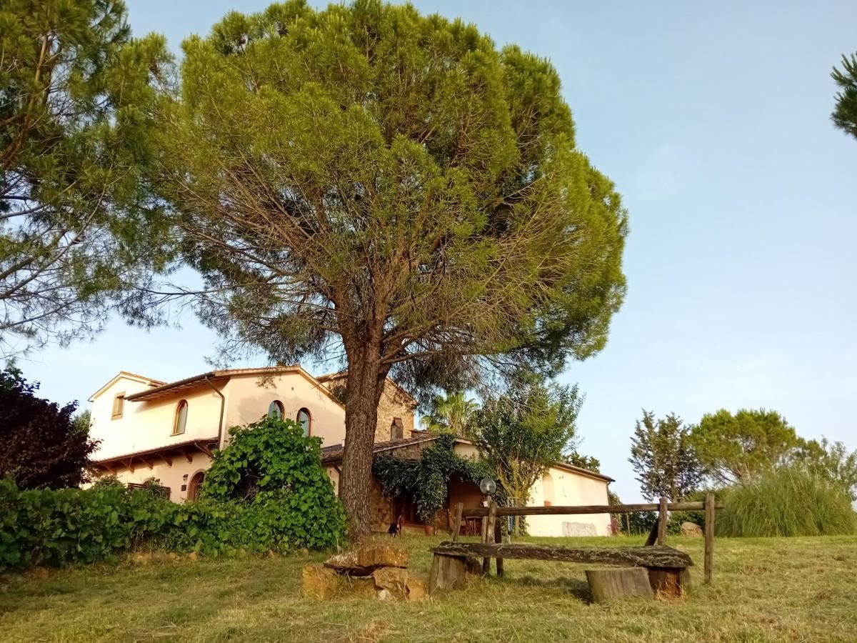 Borgo De' Muracci Ribolla Buitenkant foto