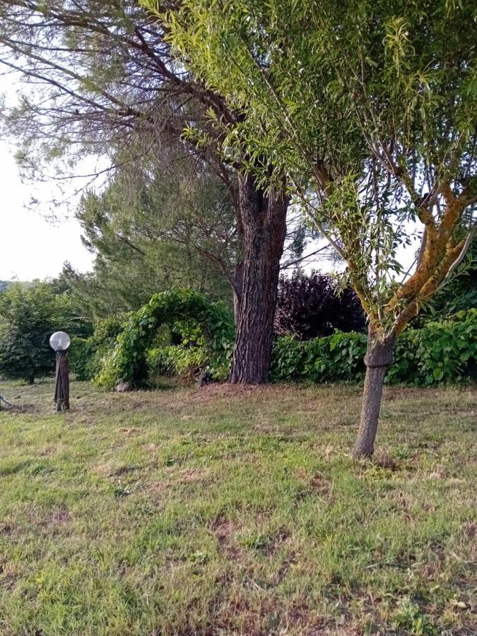 Borgo De' Muracci Ribolla Buitenkant foto