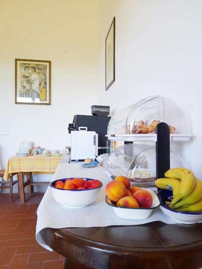 Borgo De' Muracci Ribolla Buitenkant foto