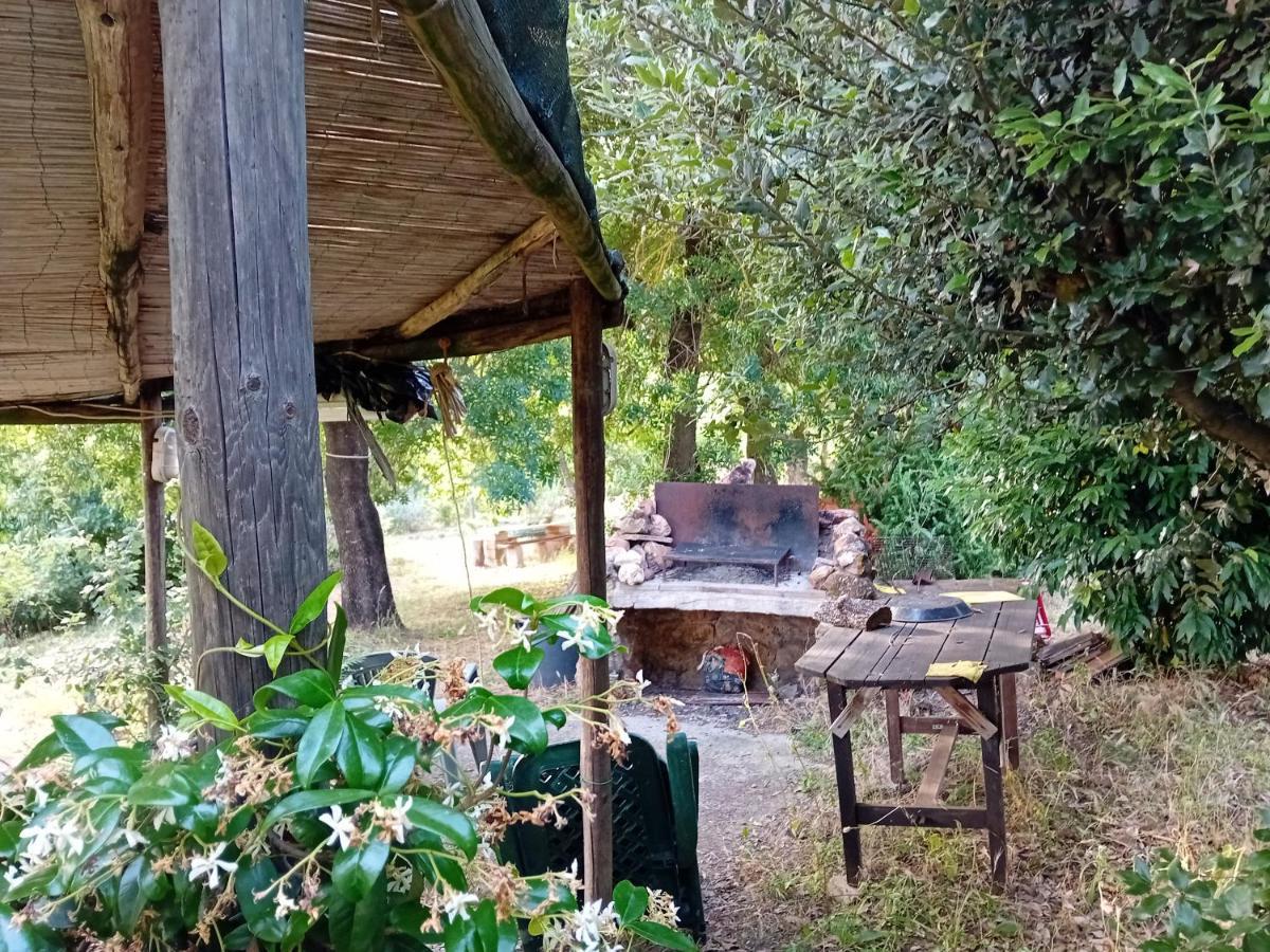 Borgo De' Muracci Ribolla Buitenkant foto