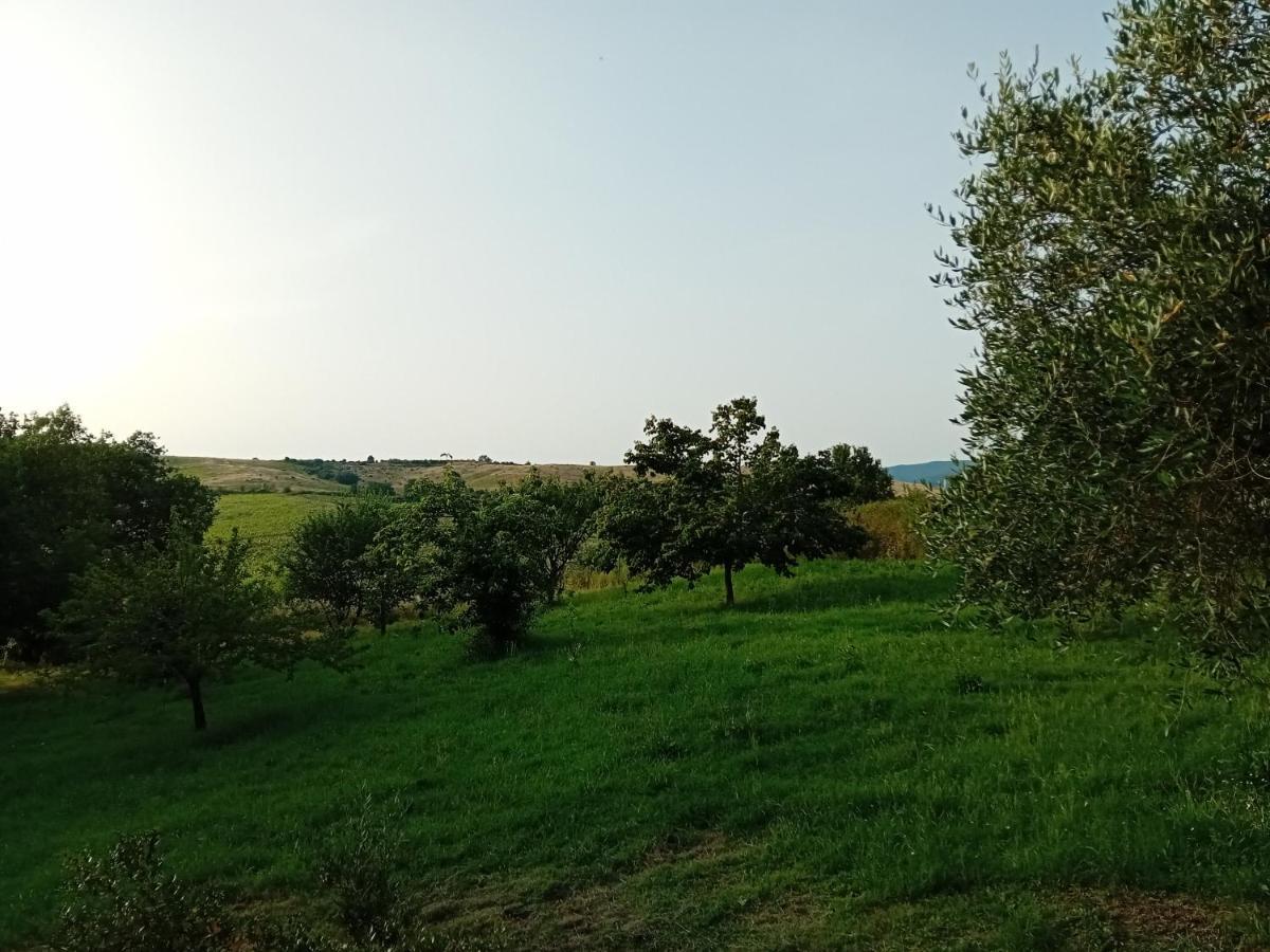 Borgo De' Muracci Ribolla Buitenkant foto
