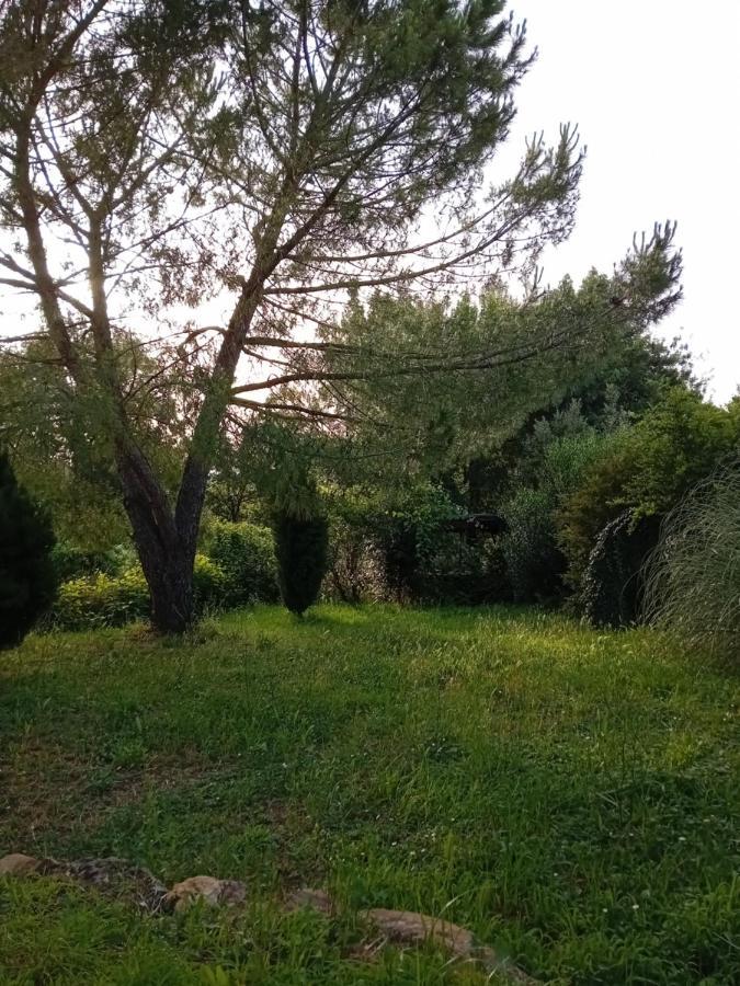 Borgo De' Muracci Ribolla Buitenkant foto