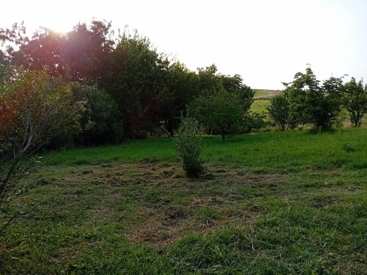 Borgo De' Muracci Ribolla Buitenkant foto