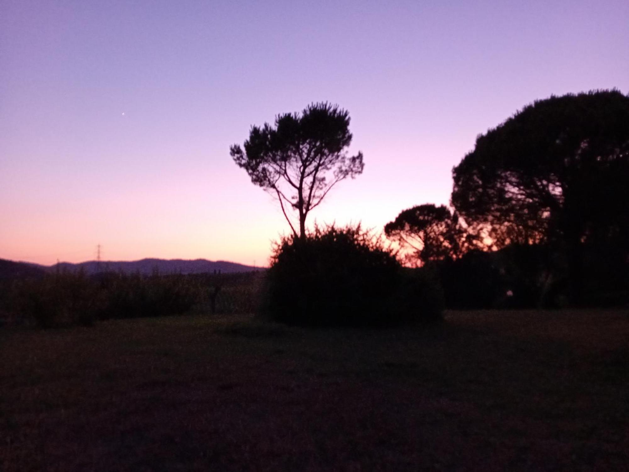 Borgo De' Muracci Ribolla Buitenkant foto