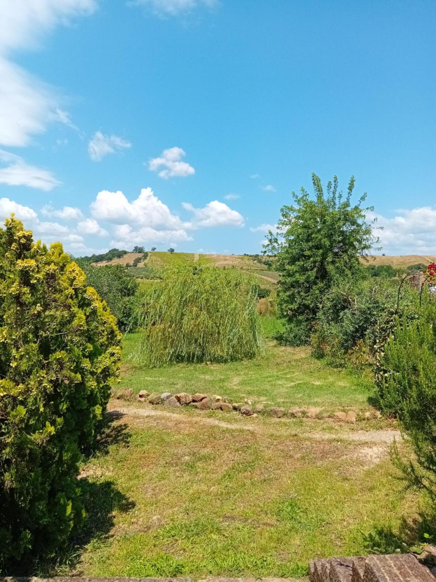 Borgo De' Muracci Ribolla Buitenkant foto